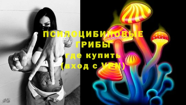 крисы Бронницы
