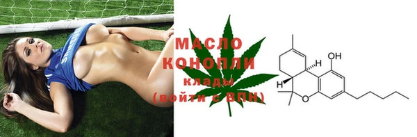 крисы Бронницы