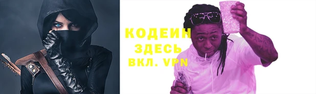 крисы Бронницы
