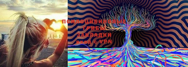 прущая мука Верхний Тагил